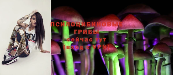 кокс Аркадак