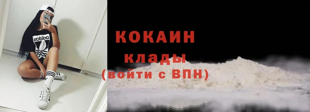 кокс Аркадак
