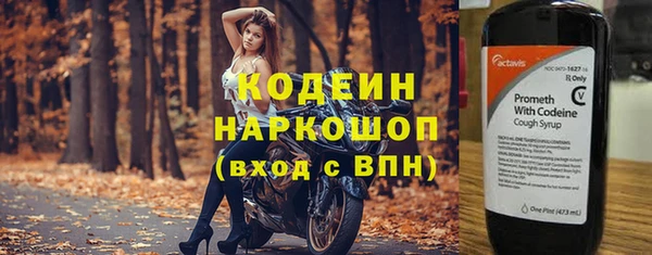 прущий лед Арсеньев