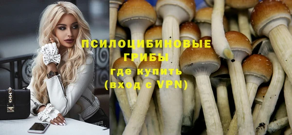 прущий лед Арсеньев
